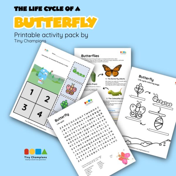 Life Cycle of a Butterfly - Printable Activity Pack - Image 2