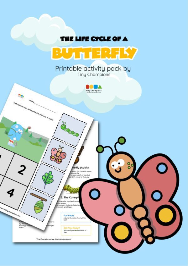 Life Cycle of a Butterfly - Printable Activity Pack